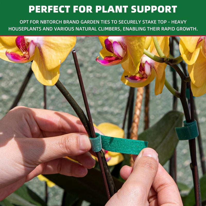 NBTORCH 50 ft x 1/2 inch Reusable Plant Ties Roll for Indoor & Outdoor Plants, Non-Toxic Soft Garden Ties, Cut-to-Length Nylon Ties, Gentle Support for Climbing Plants, Tomato Peppers & Vines, Green - Image 3